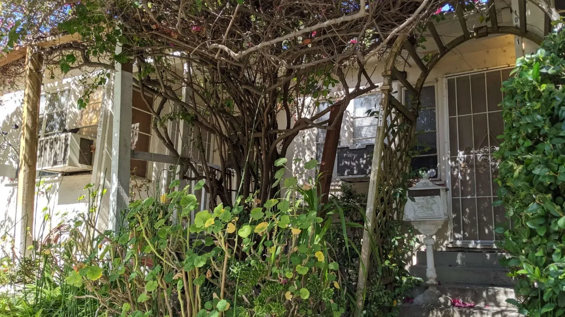 10555 Bloomfield Street, Toluca Lake