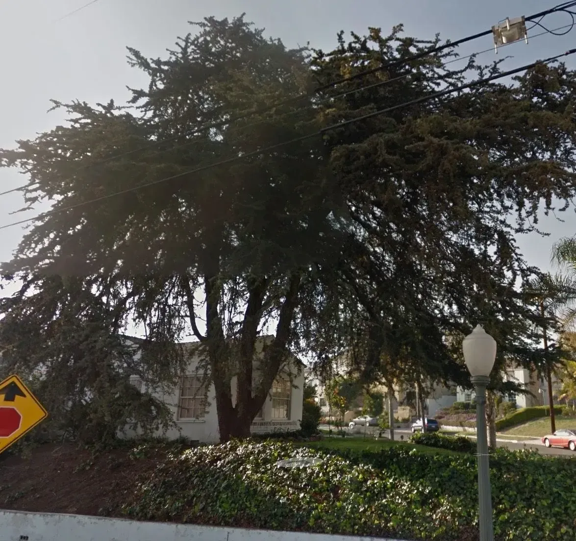 Say Goodbye to Old Westwood — photograph 4