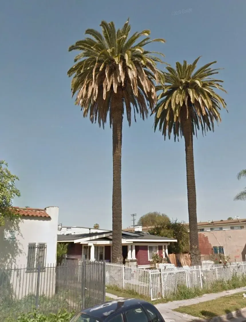 The Bungalows of Hyde Park MUST BE SACRIFICED — photograph 2